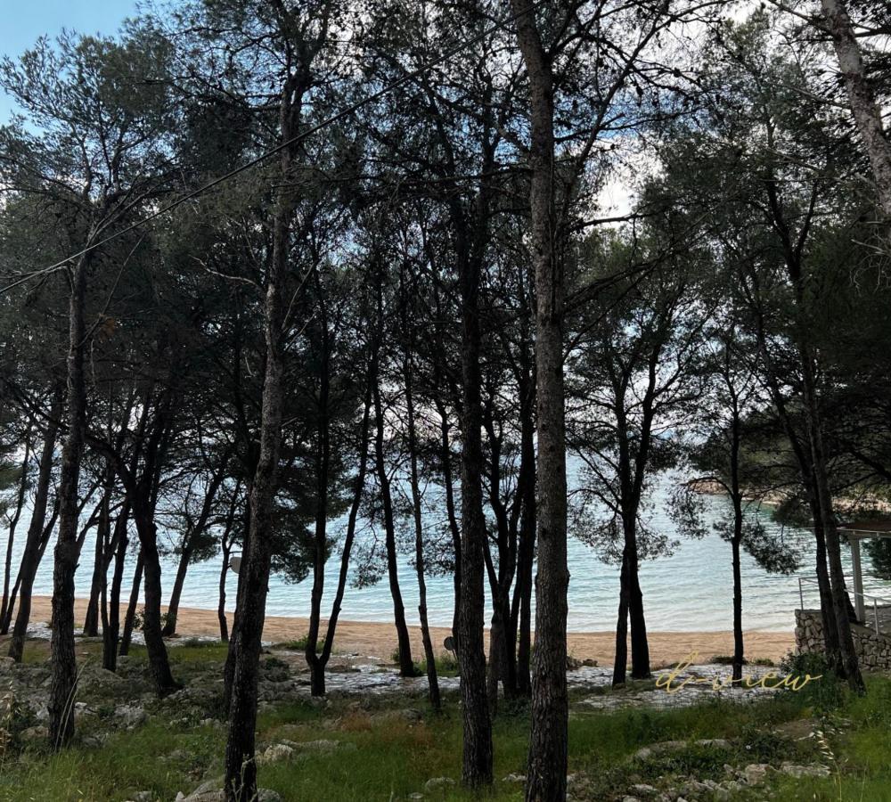 D-View Premium Mobile Home - Panoramic Seaview - 150 M From Beach, Free Parking Drage Eksteriør billede